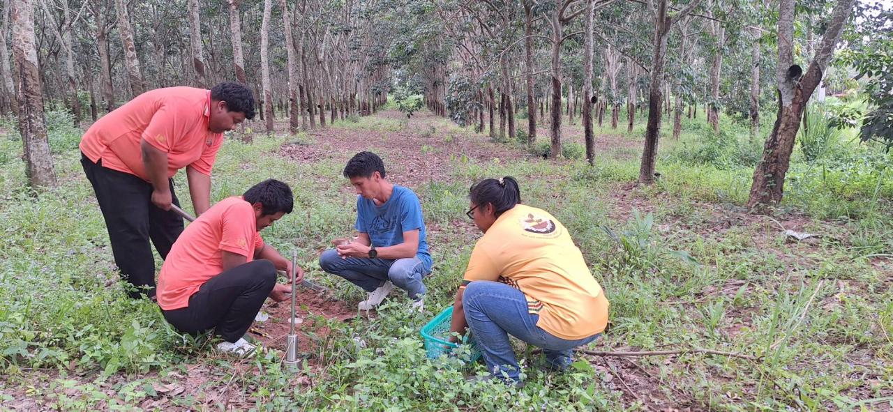 ภาพประกอบที่ 5