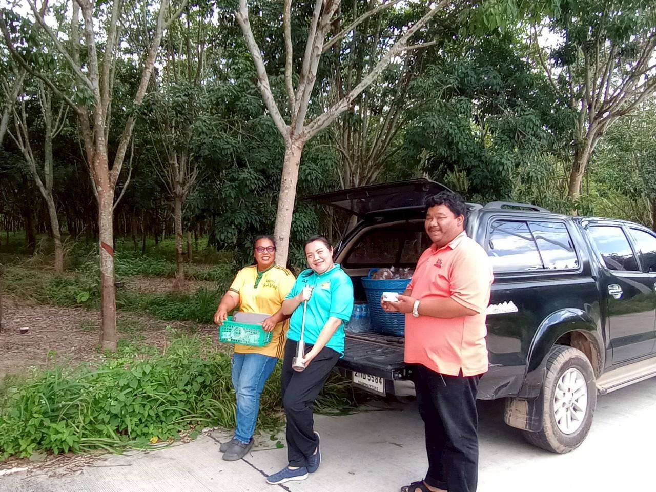 ภาพประกอบที่ 6