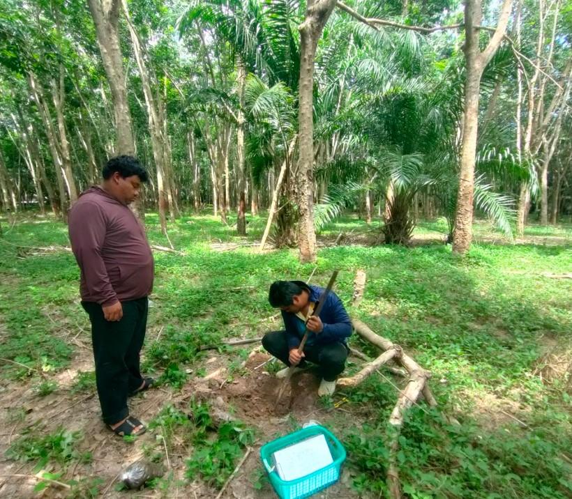 ภาพประกอบที่ 8