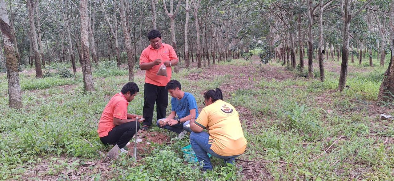 ภาพประกอบที่ 11