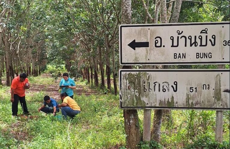 ภาพประกอบที่ 12