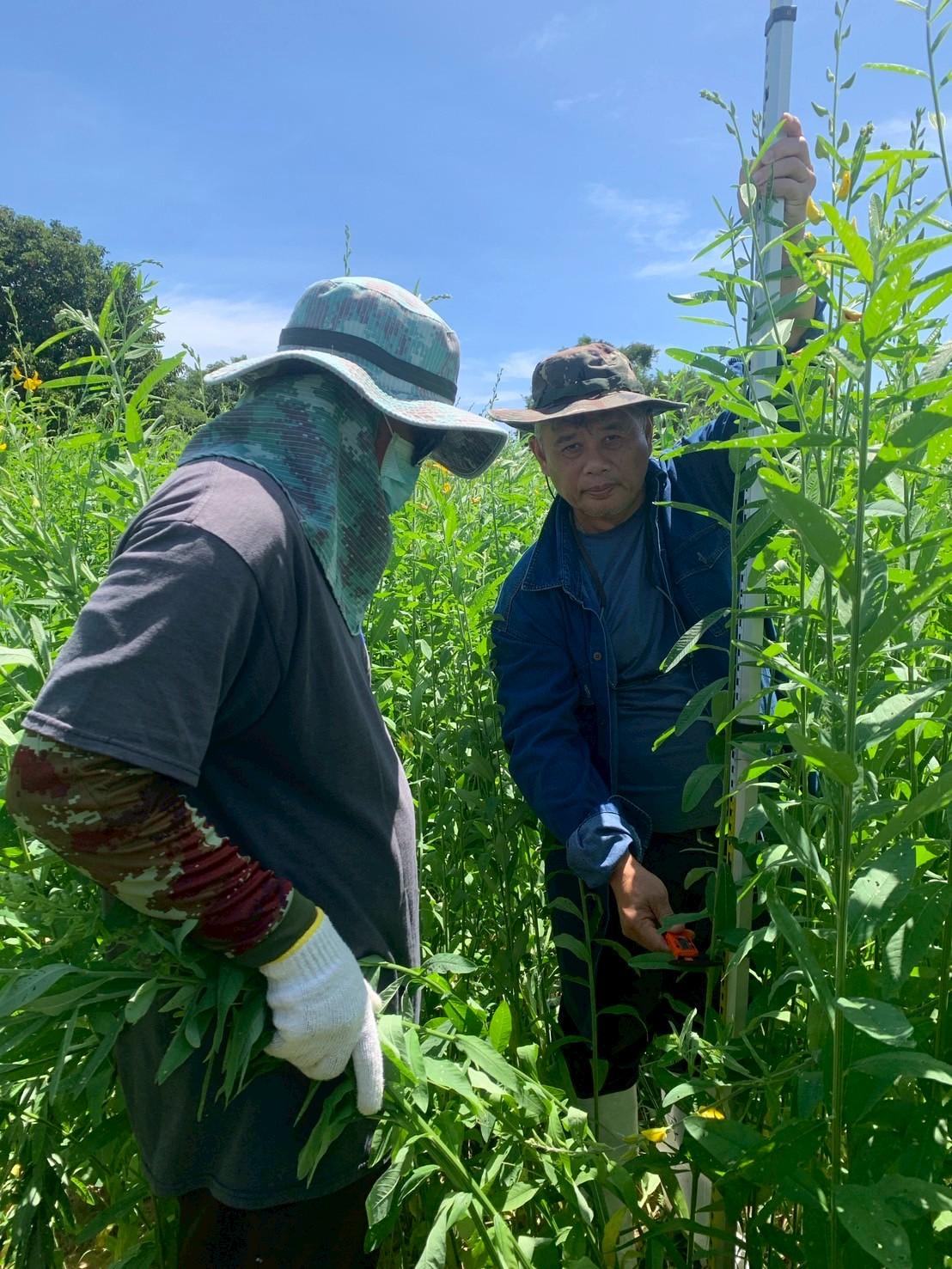 ภาพประกอบที่ 1