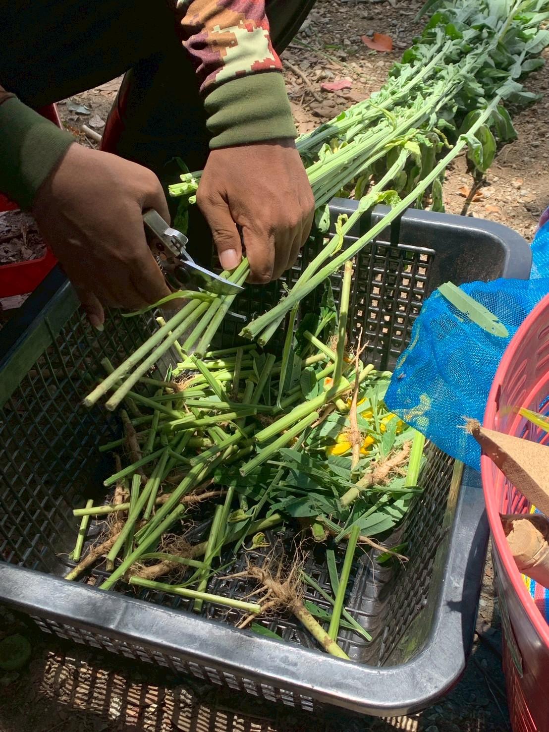 ภาพประกอบที่ 6