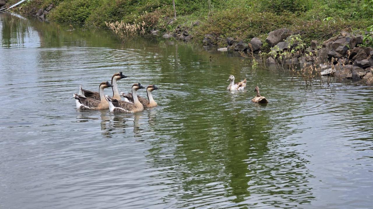 ภาพประกอบที่ 9