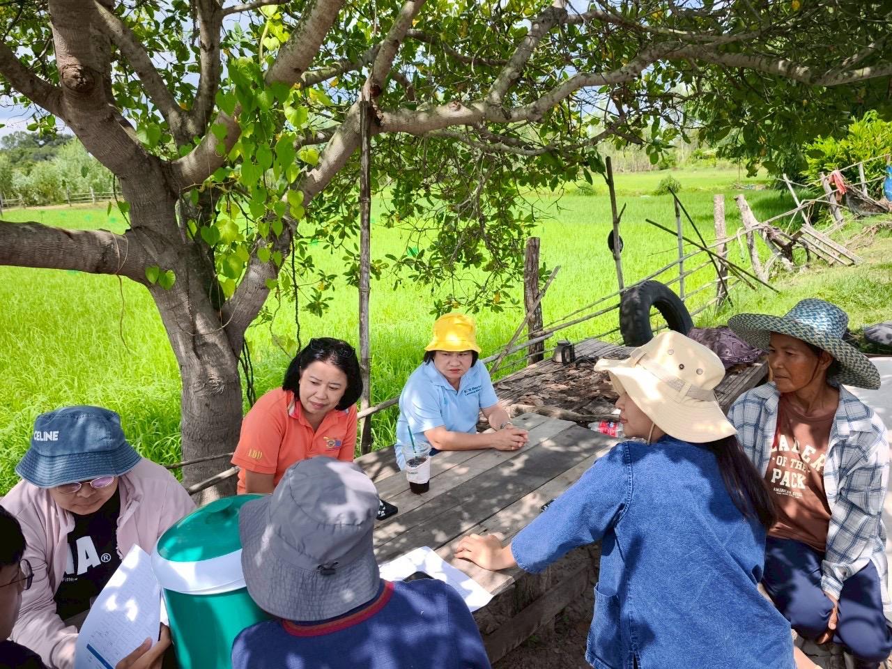 ภาพประกอบที่ 4