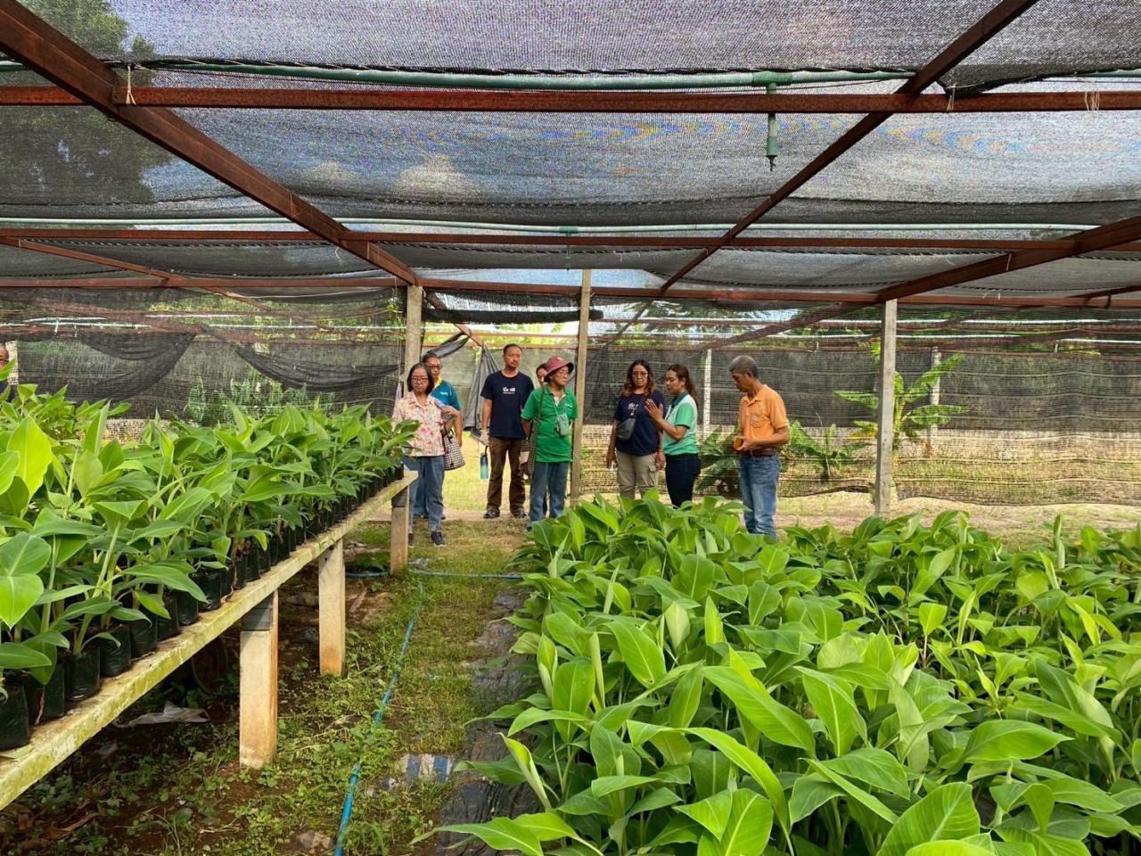 ภาพประกอบที่ 5