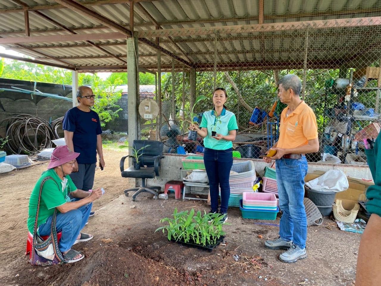 ภาพประกอบที่ 6