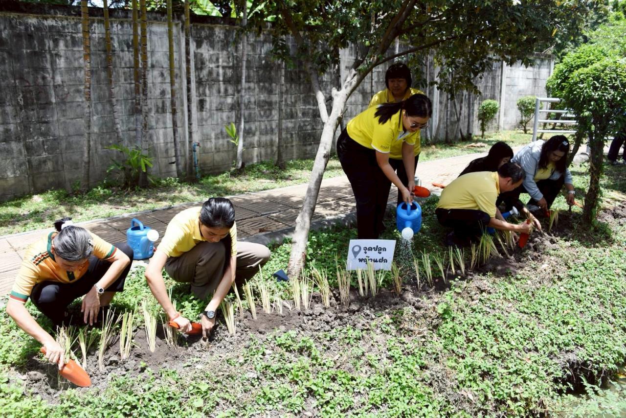 ภาพประกอบที่ 1