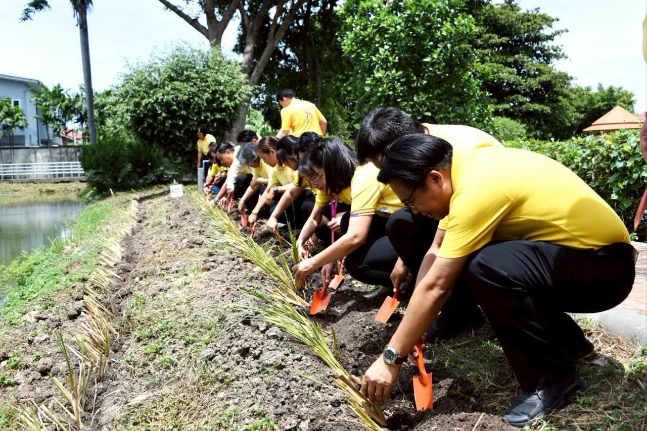 ภาพประกอบที่ 2