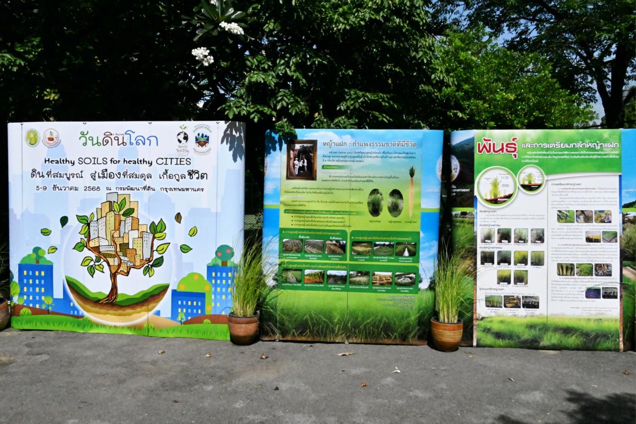 ภาพประกอบที่ 11