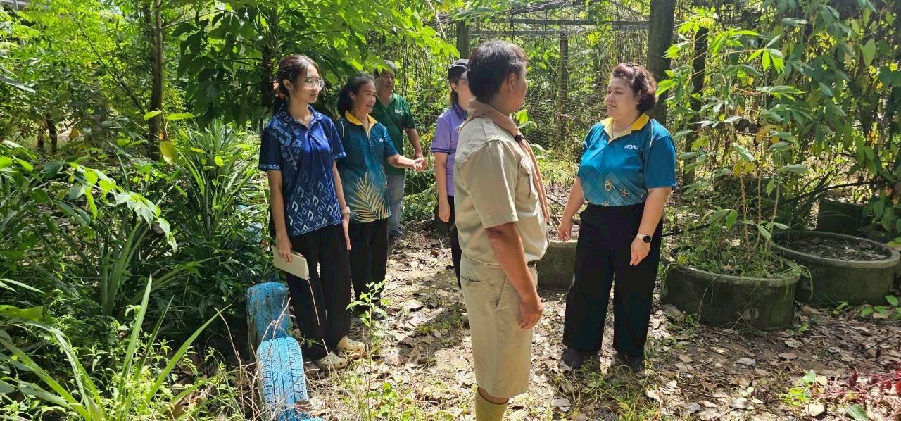 ภาพประกอบที่ 2