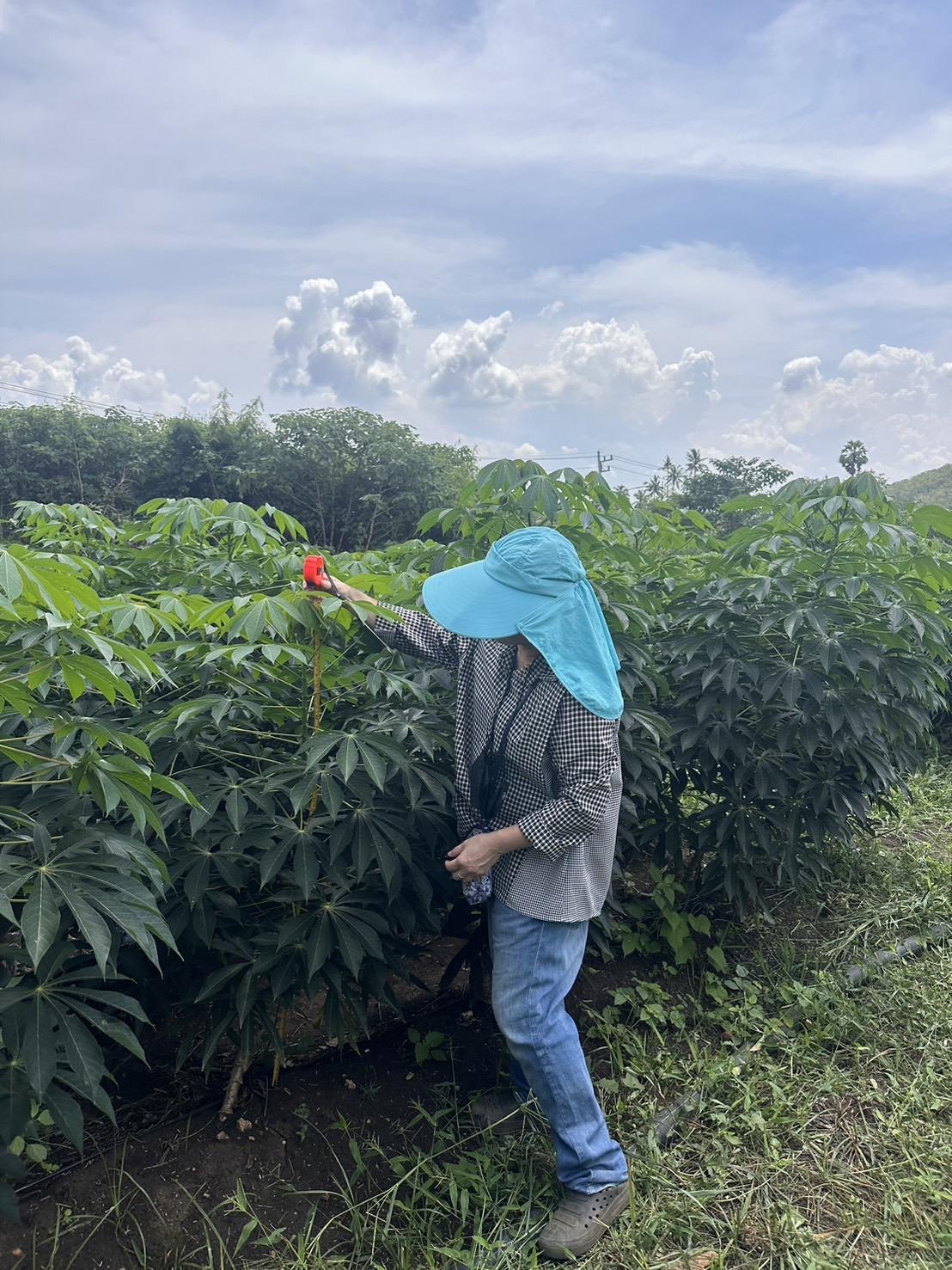 ภาพประกอบที่ 0