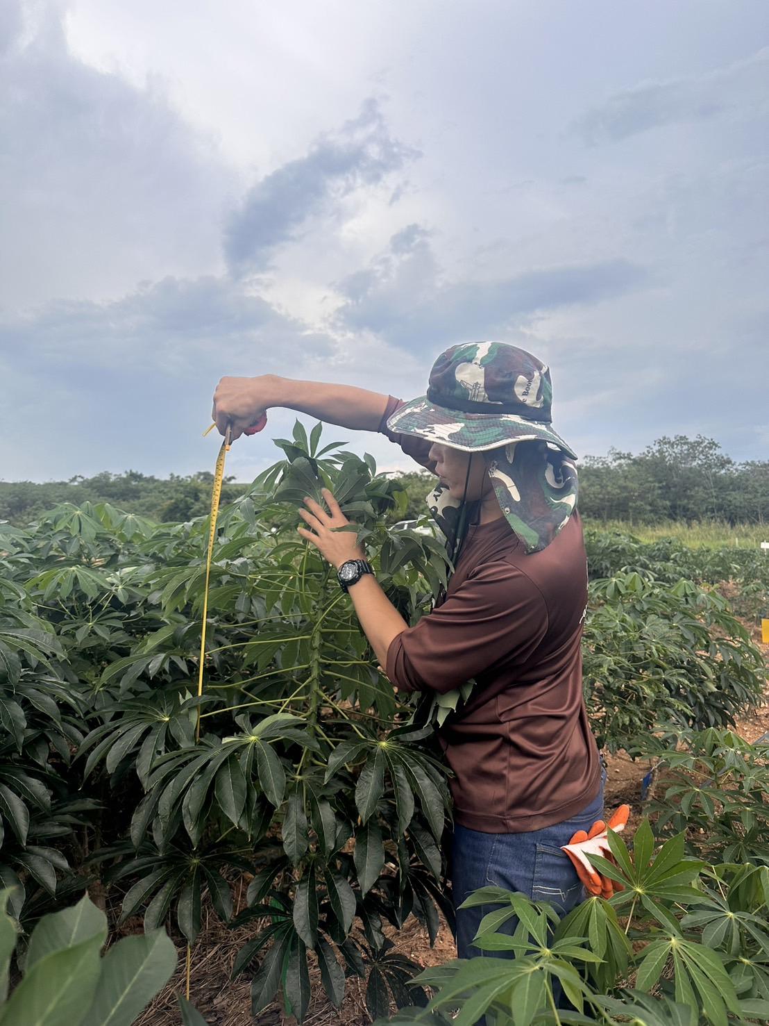ภาพประกอบที่ 5