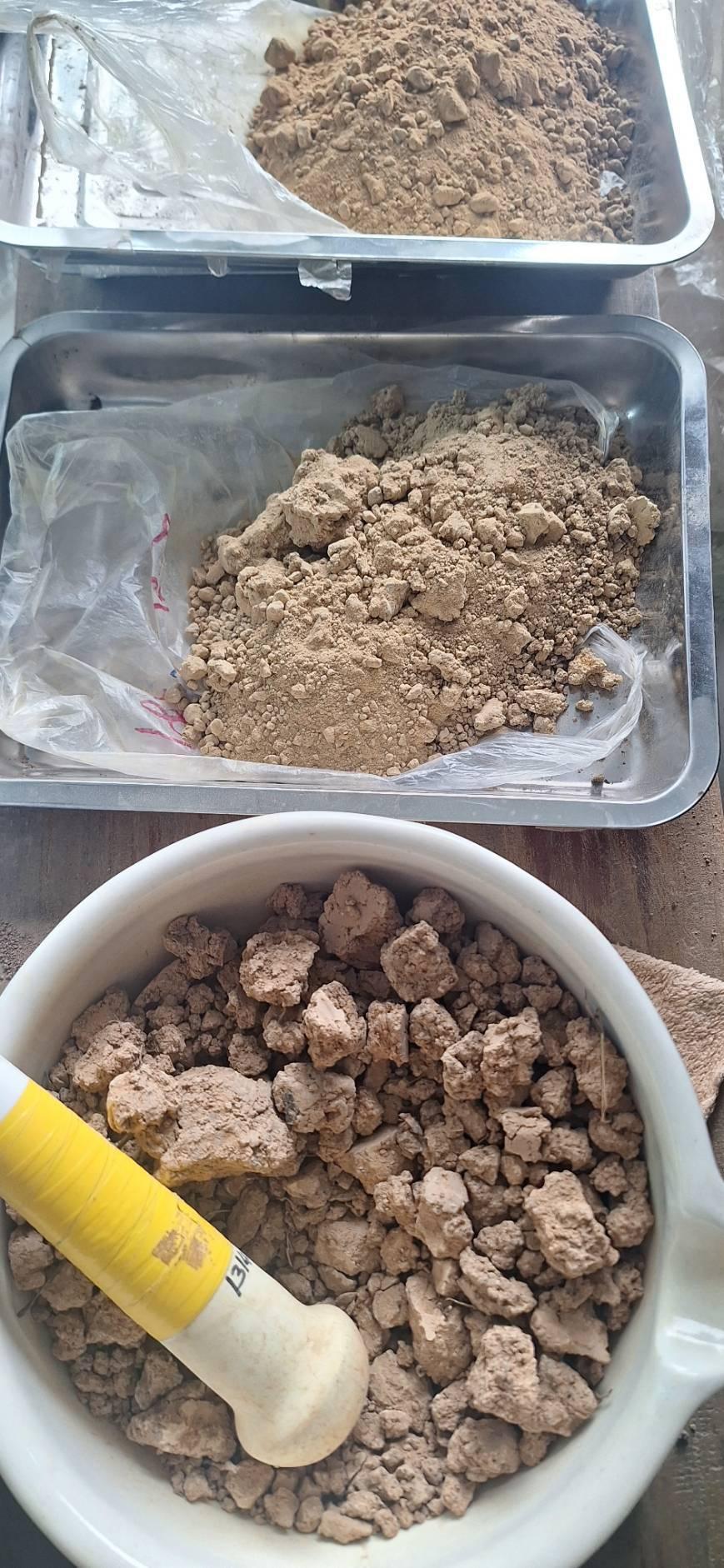 ภาพประกอบที่ 8