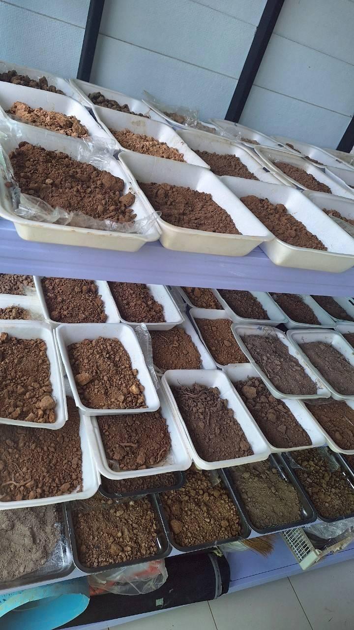 ภาพประกอบที่ 5