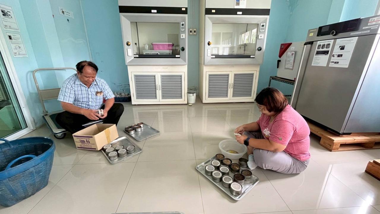 ภาพประกอบที่ 1