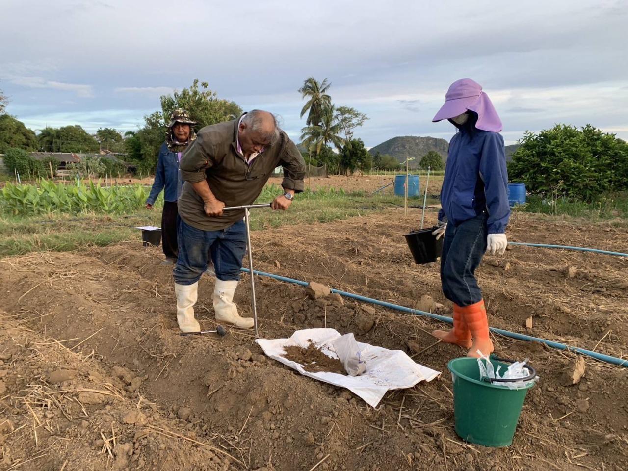ภาพประกอบที่ 0
