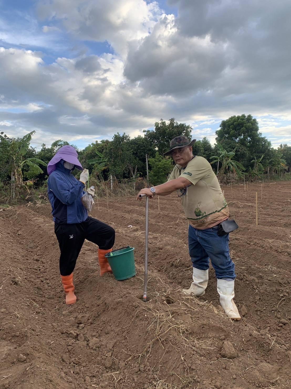 ภาพประกอบที่ 1