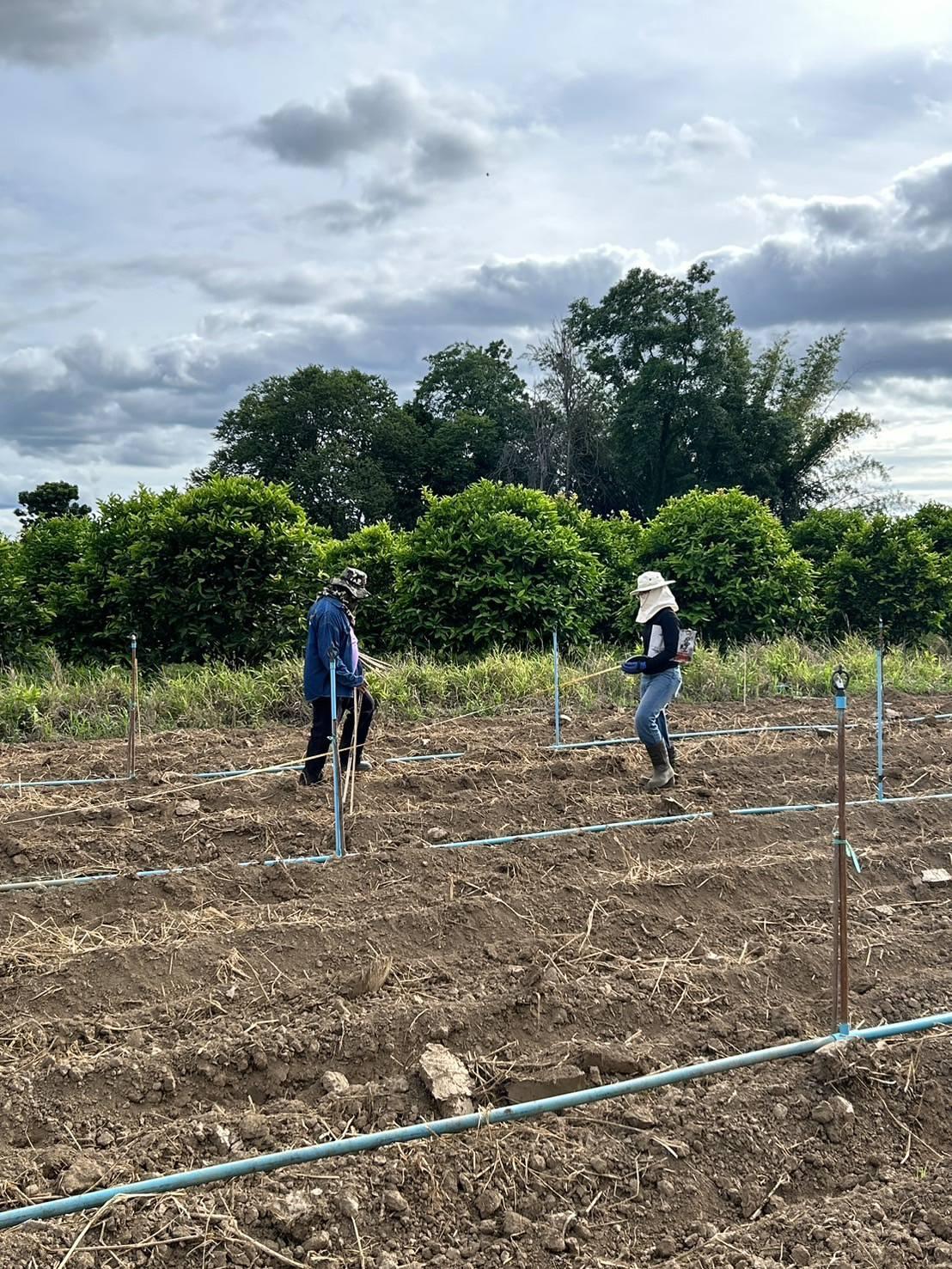 ภาพประกอบที่ 3