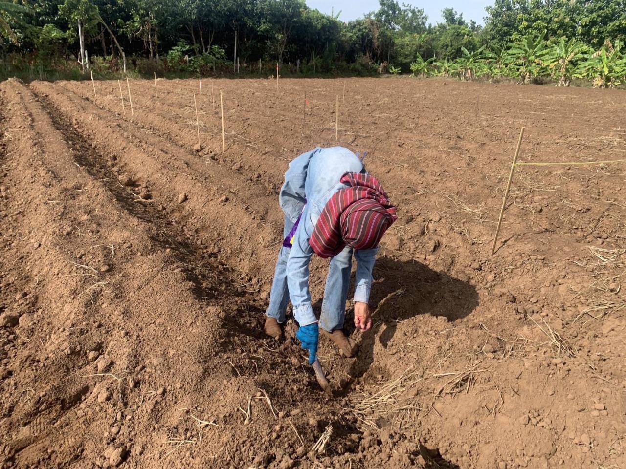 ภาพประกอบที่ 5