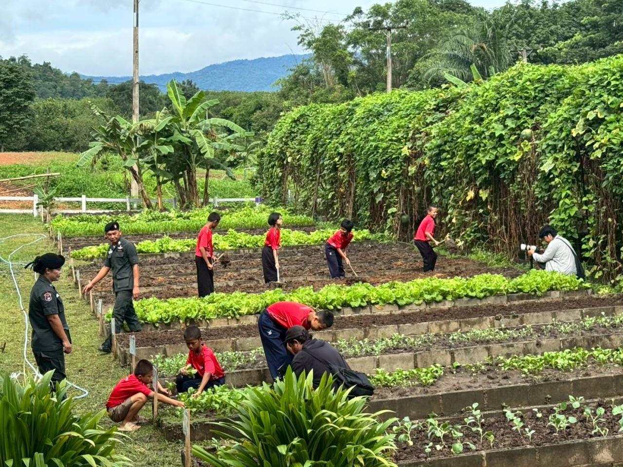 ภาพประกอบที่ 5