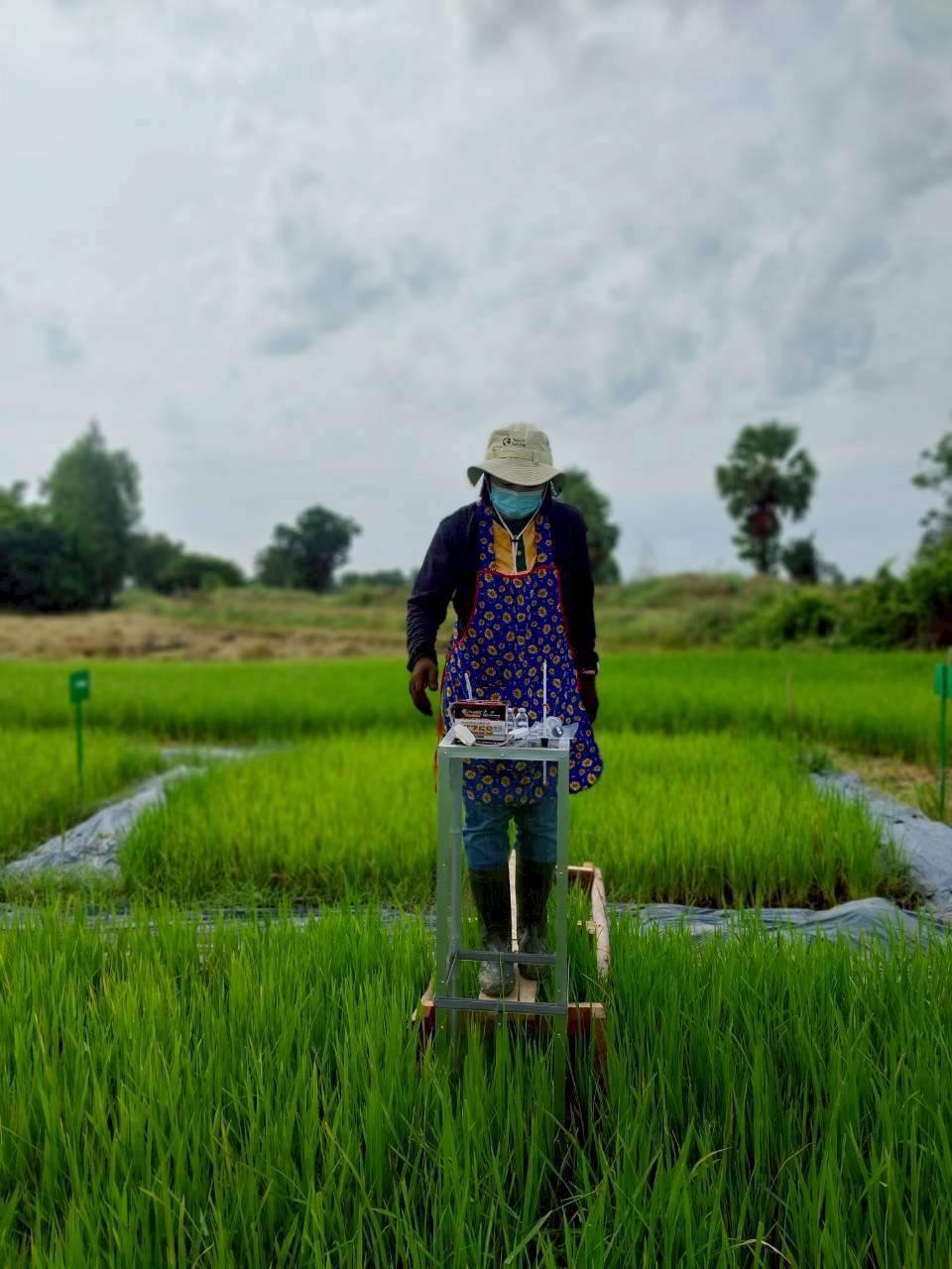 ภาพประกอบที่ 5