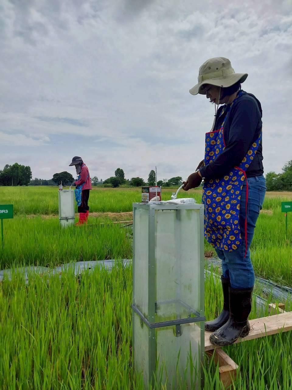 ภาพประกอบที่ 6
