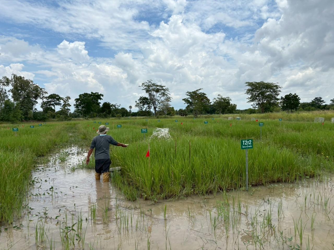 ภาพประกอบที่ 7