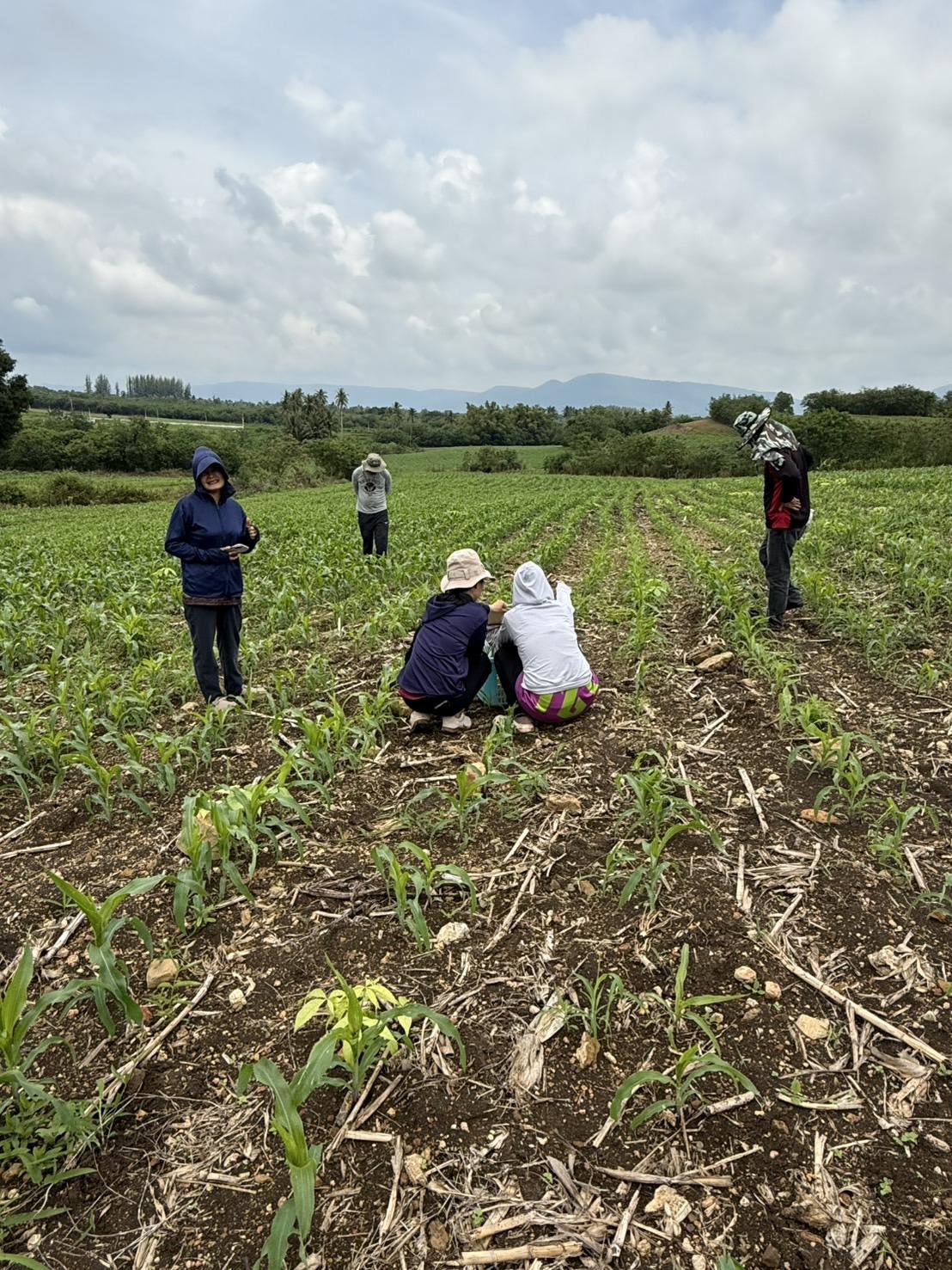 ภาพประกอบที่ 4