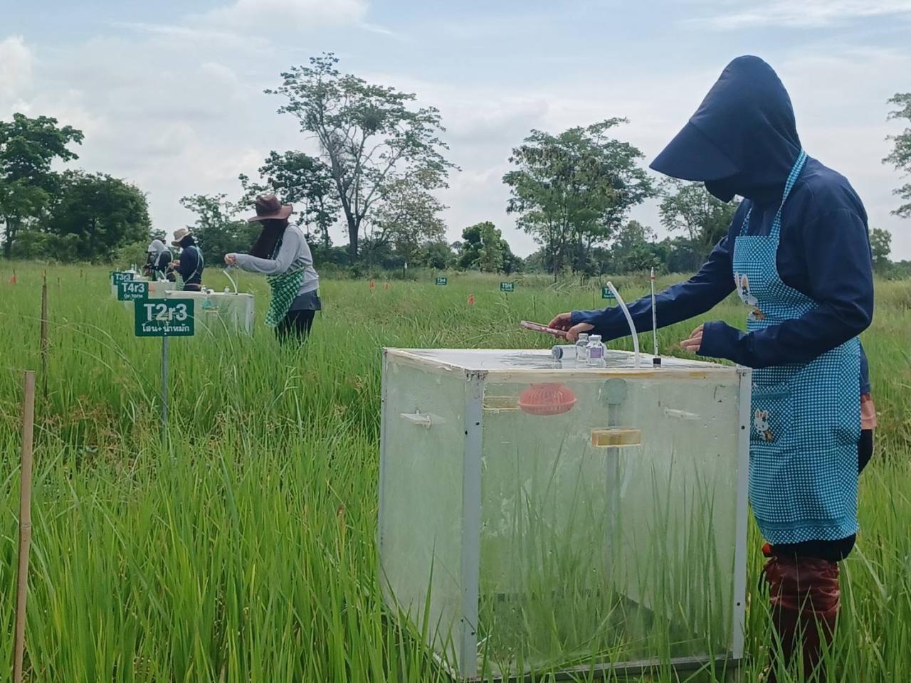 ภาพประกอบที่ 5