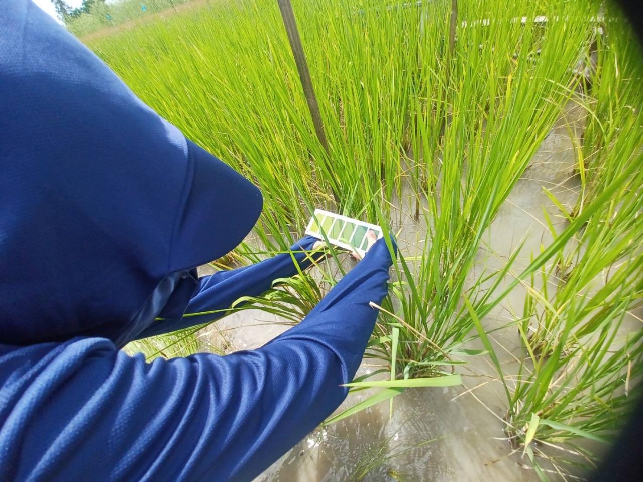 ภาพประกอบที่ 6