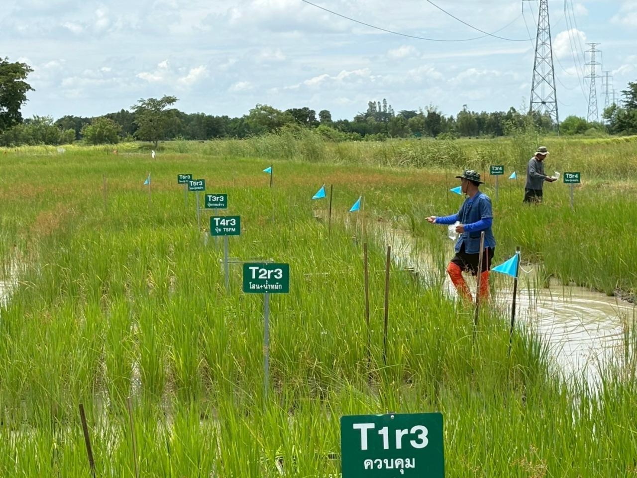 ภาพประกอบที่ 8