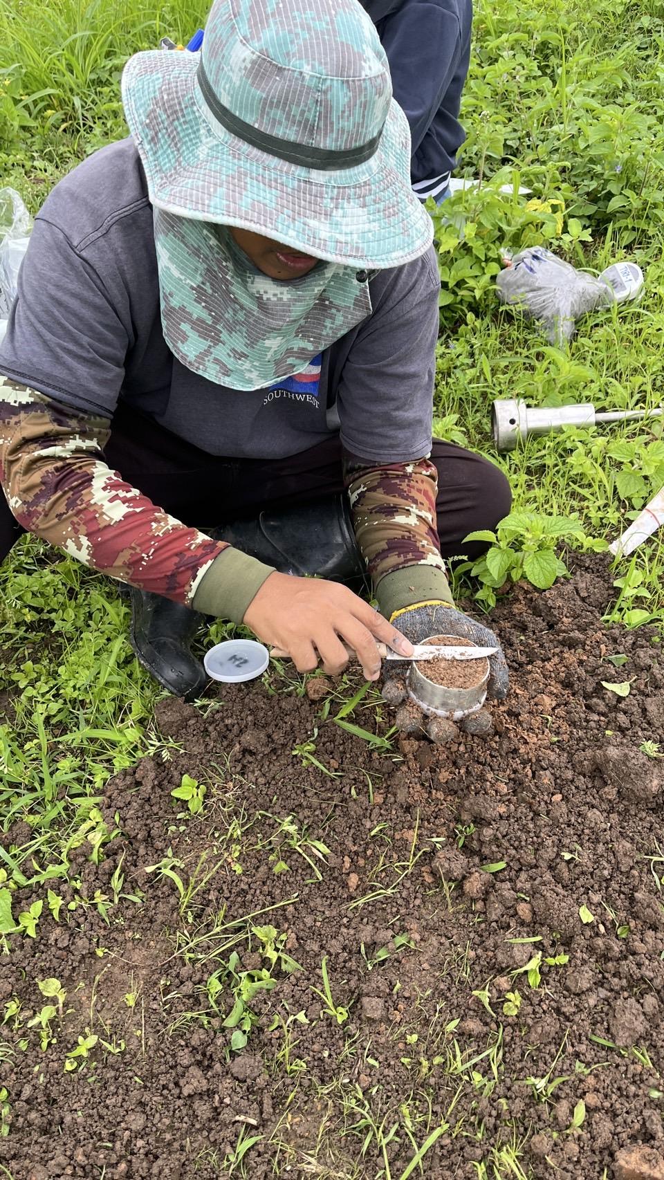 ภาพประกอบที่ 2