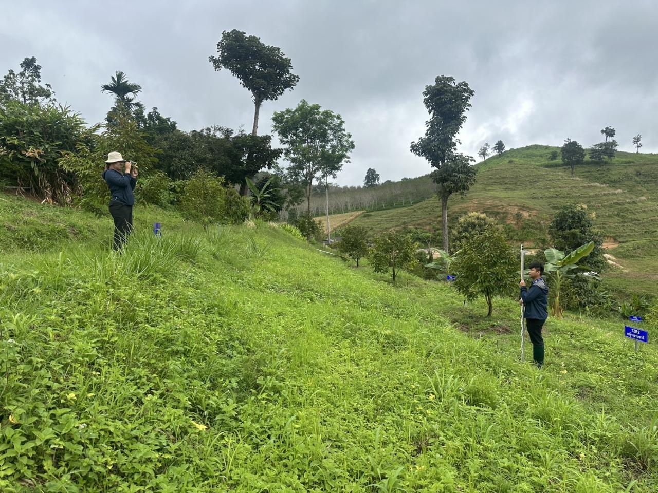 ภาพประกอบที่ 6