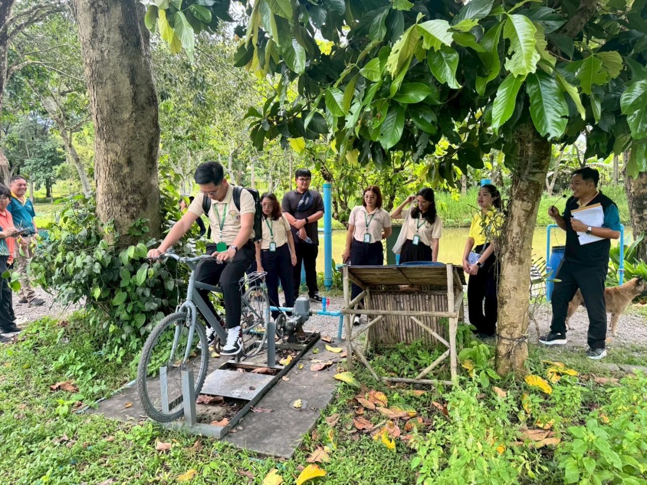 ภาพประกอบที่ 8