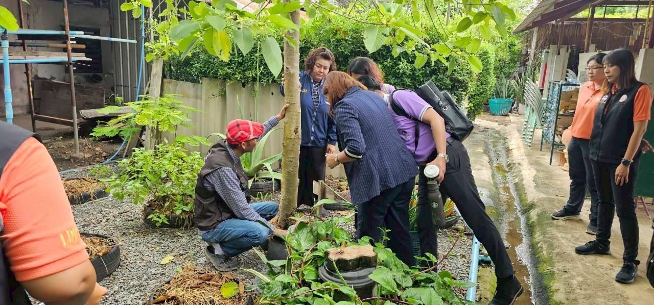 ภาพประกอบที่ 15