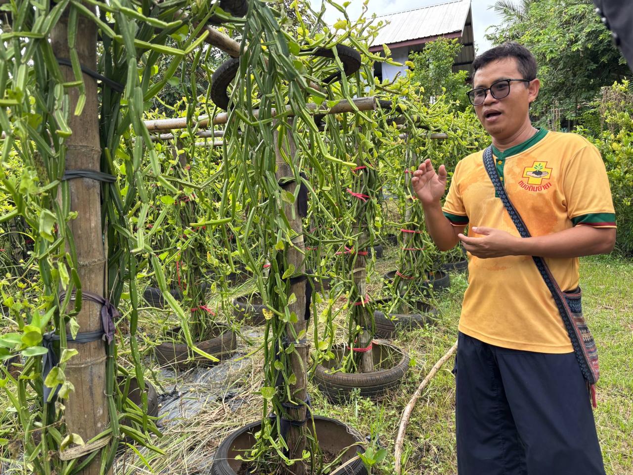 ภาพประกอบที่ 3