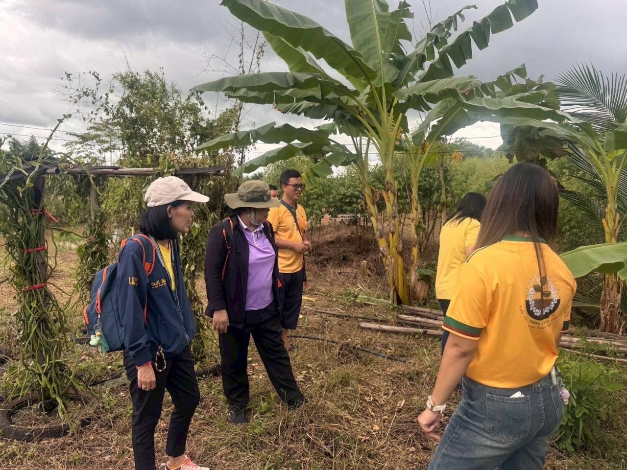ภาพประกอบที่ 5