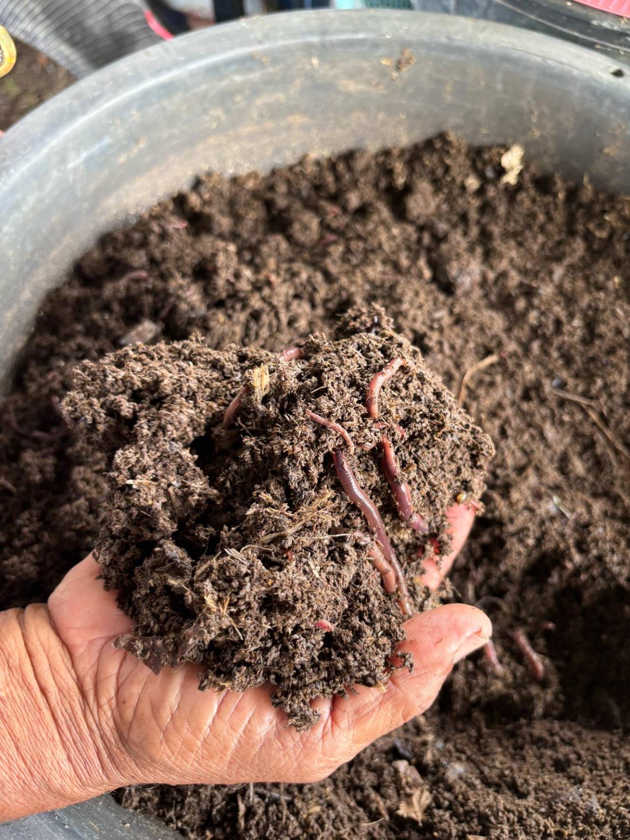 ภาพประกอบที่ 8