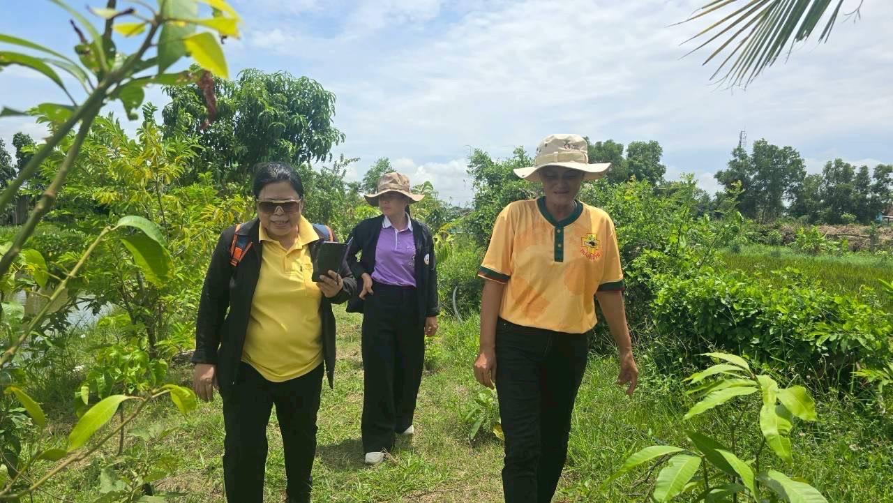 ภาพประกอบที่ 9