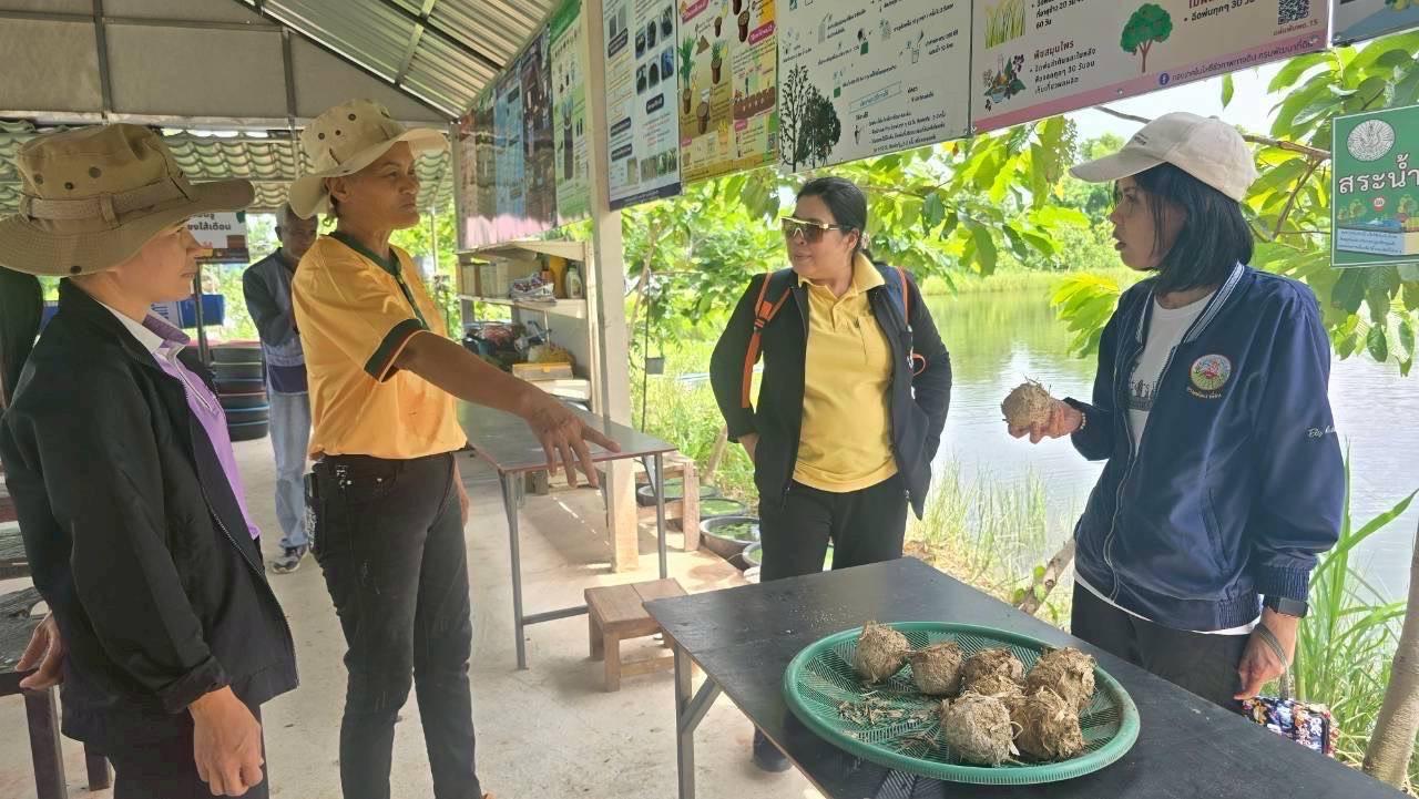 ภาพประกอบที่ 12