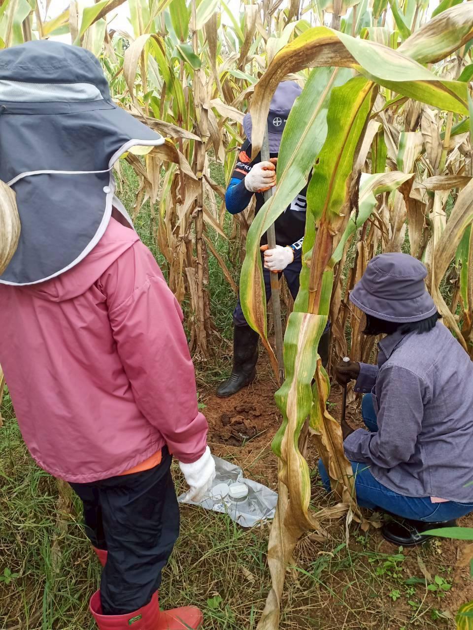 ภาพประกอบที่ 1
