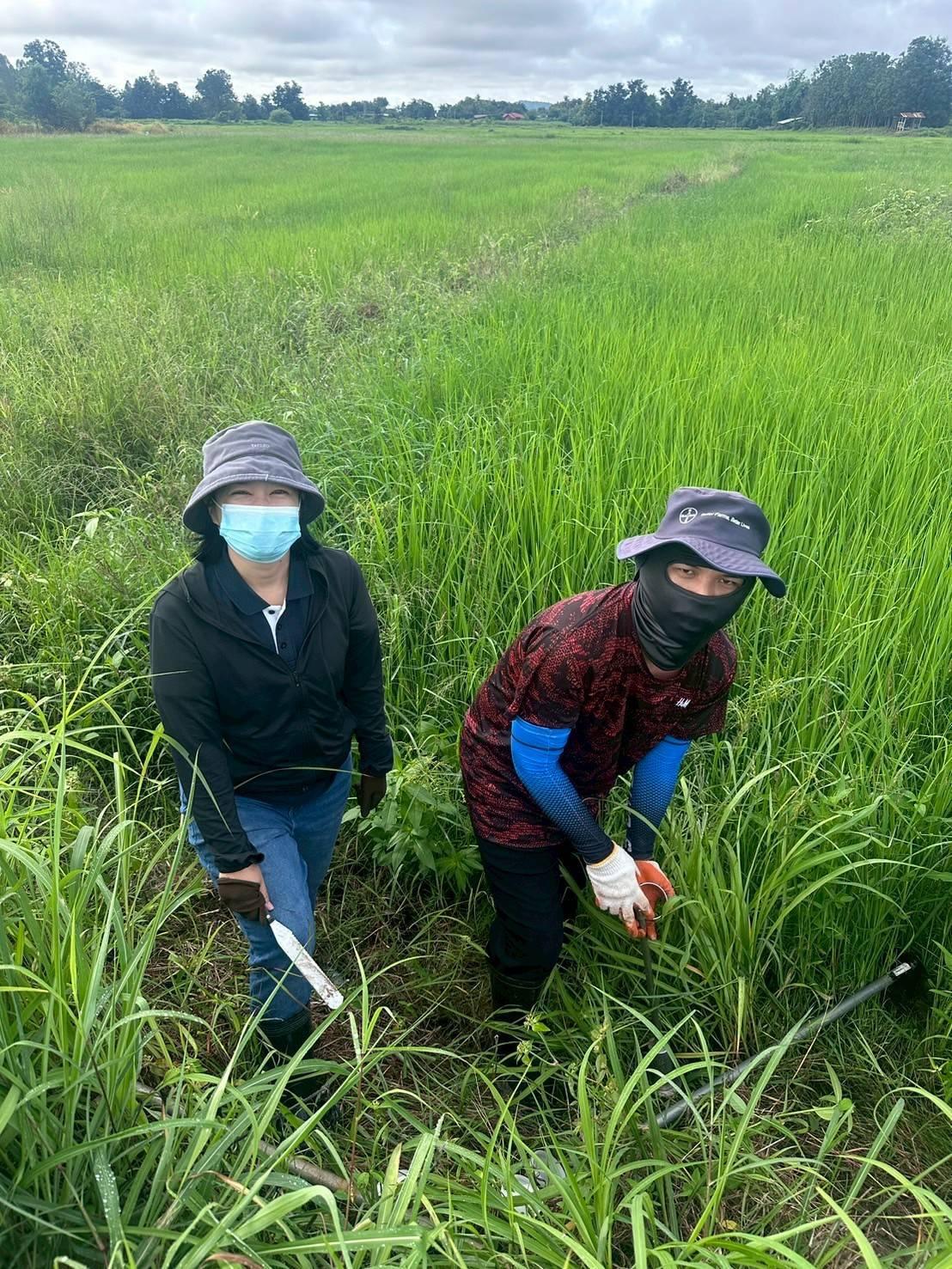 ภาพประกอบที่ 3