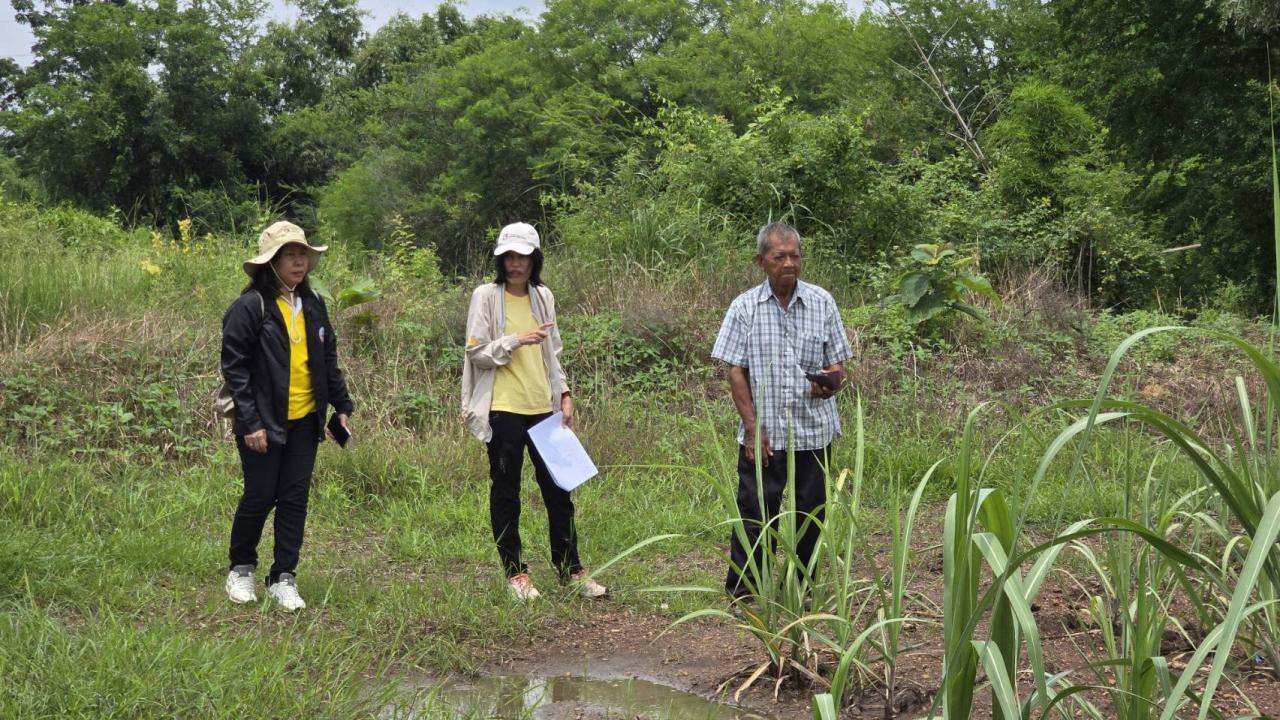 ภาพประกอบที่ 1