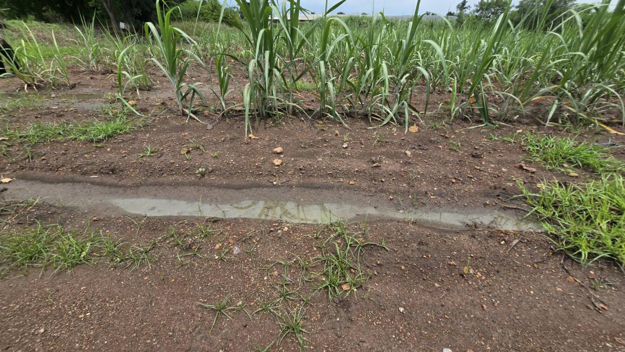 ภาพประกอบที่ 6