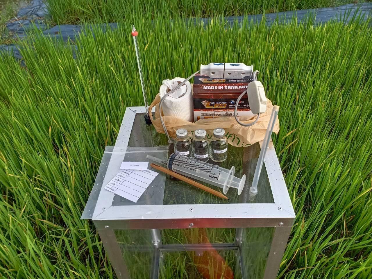 ภาพประกอบที่ 1