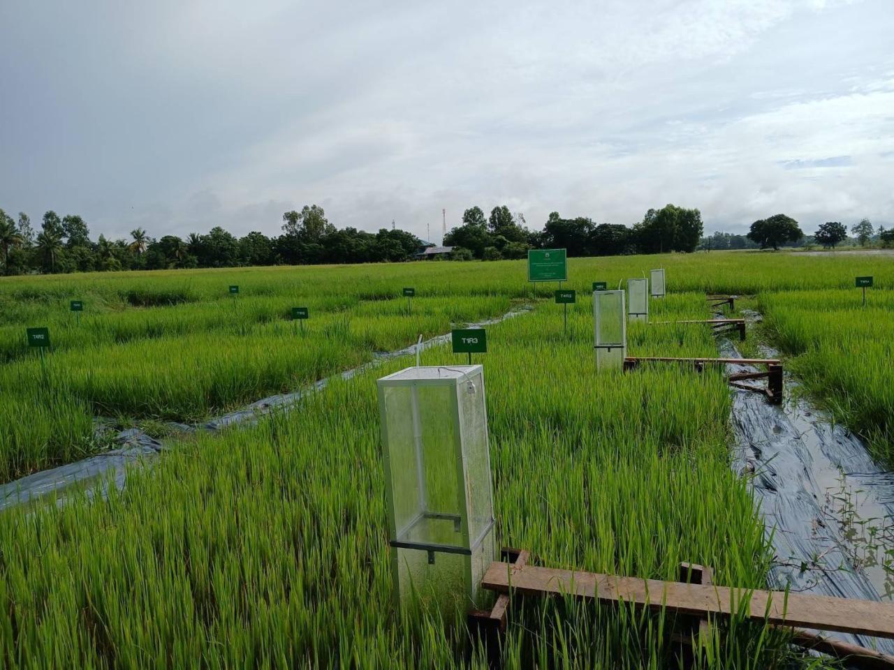 ภาพประกอบที่ 3