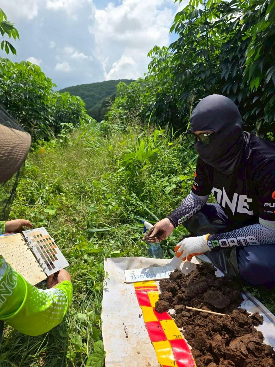 ภาพประกอบที่ 4