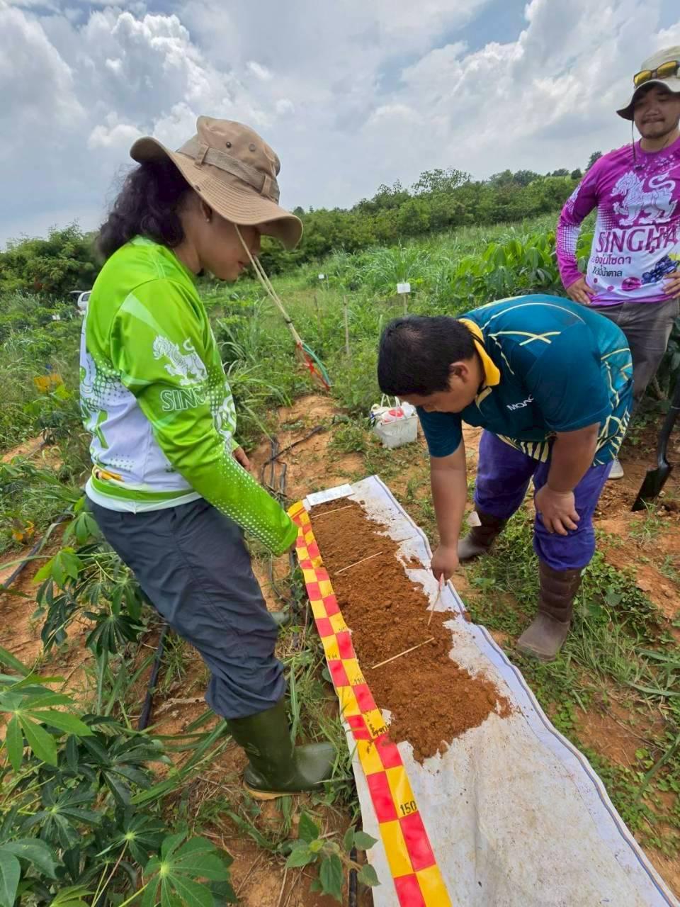 ภาพประกอบที่ 5