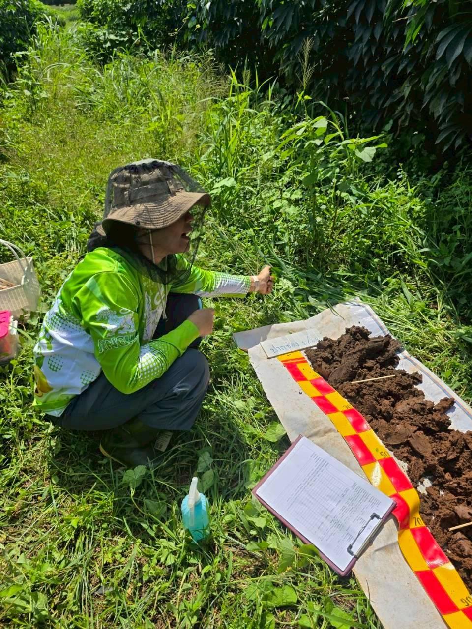 ภาพประกอบที่ 6